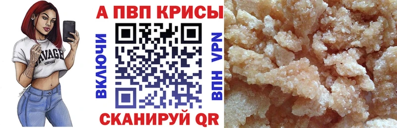 Альфа ПВП СК КРИС  Багратионовск 